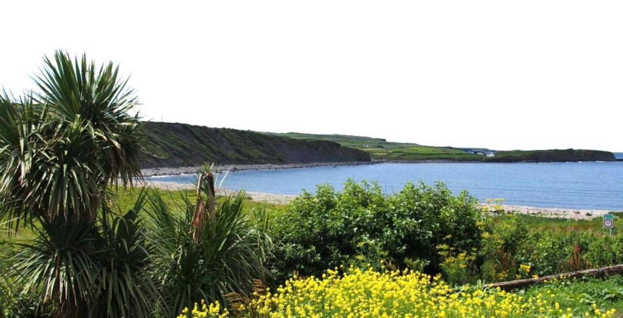 Wild Atlantic Lodge Bed & Breakfast 拉辛赫 外观 照片