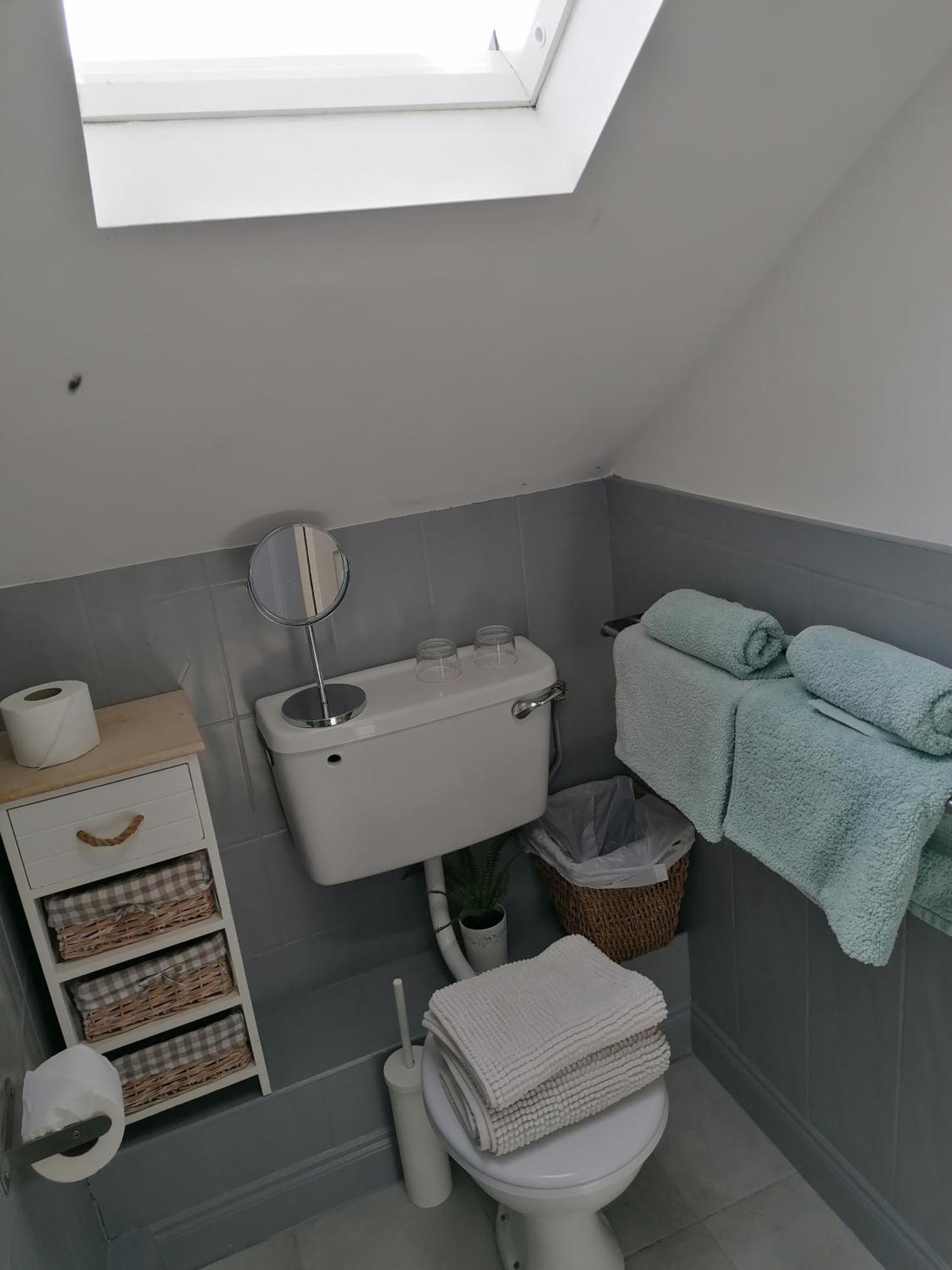 Wild Atlantic Lodge Bed & Breakfast 拉辛赫 客房 照片